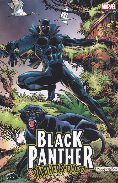 Black Panther Panthers Quest TPB