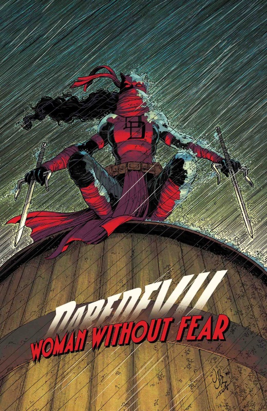 Daredevil Woman Without Fear TPB Bloody Reunion